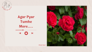 Agar Pyar Tumhe Mere By Himani Jawa
